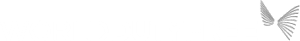 WDF logo